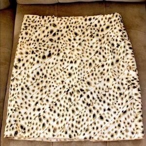 Dressy Skirt